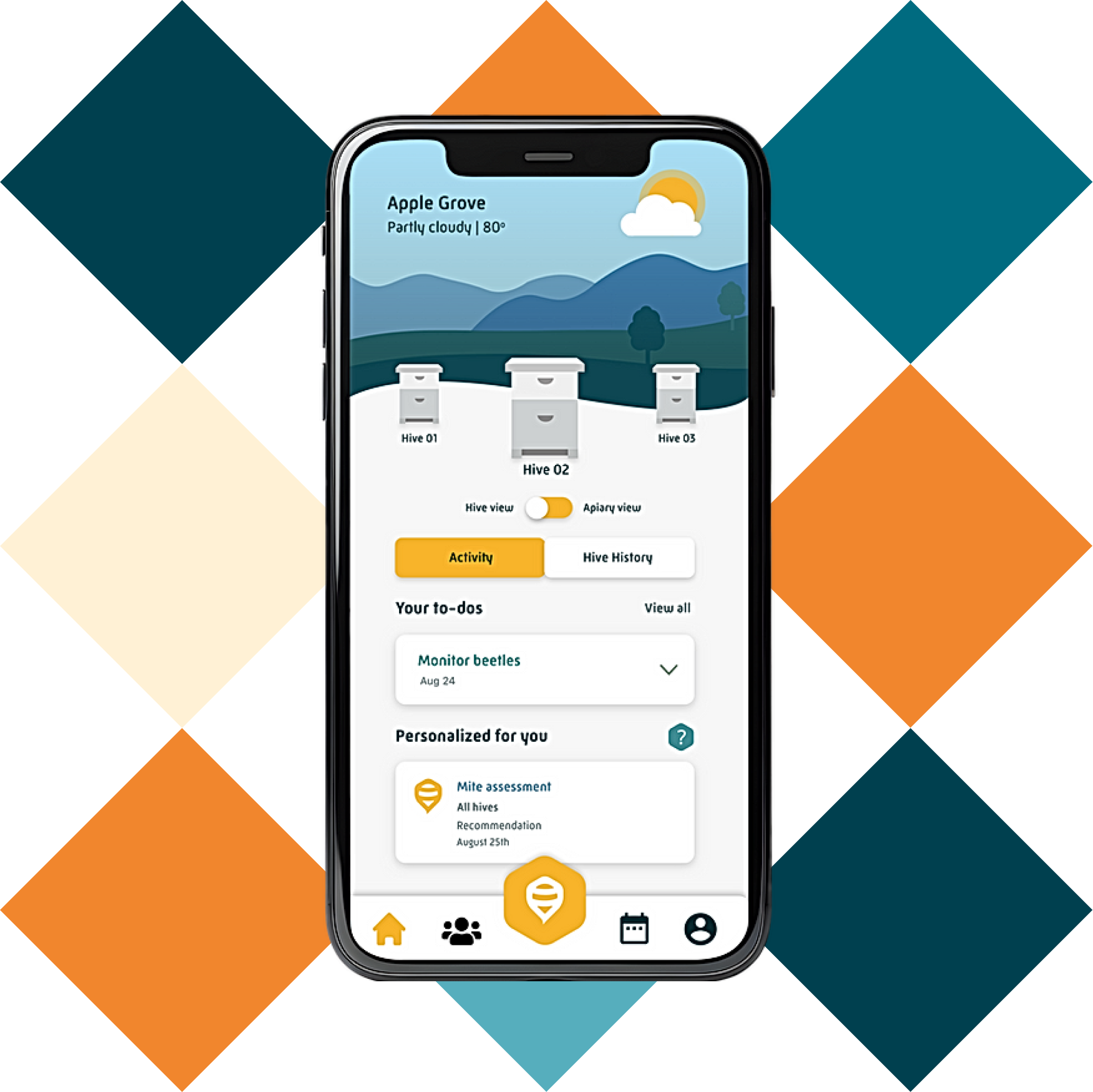 Beekeeping Challenges